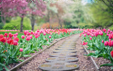 que faire au jardin en janvier